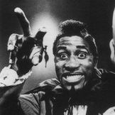 Imagen del artista Screamin' Jay Hawkins