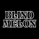 Imagem do artista Blind Melon