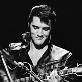 Imagem do artista Elvis Presley