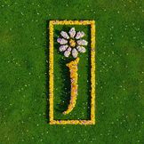 Imagem do artista James