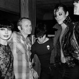 Imagem do artista Misfits