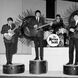 Imagem do artista The Merseybeats
