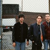 Artist's image Beach Fossils