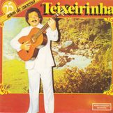 Imagen del artista Teixeirinha