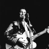 Imagem do artista Hank Thompson