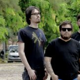 Imagen del artista Amapola