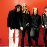 Artist's image The Hellacopters