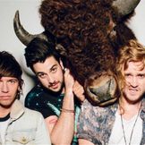 Imagem do artista The Griswolds