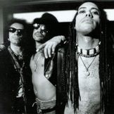 Artist image Slash's Snakepit