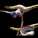 Imagem do artista Cirque Du Soleil