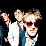 Imagen del artista The Plimsouls