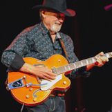 Imagen del artista Duane Eddy