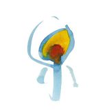 Imagen del artista Nujabes