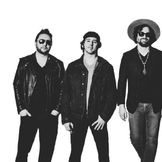 Imagem do artista Rusted Root