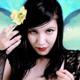 Imagen del artista The Bastard Fairies