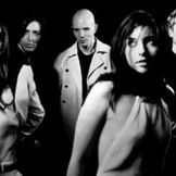 Imagen del artista A Perfect Circle