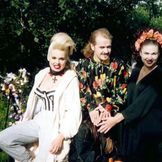 Imagen del artista Army Of Lovers