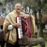 Imagen del artista Adelar Bertussi