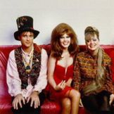 Imagem do artista The B-52's