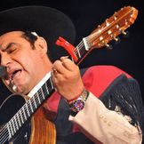 Imagen del artista El Chaqueño Palavecino