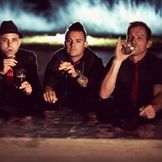 Imagem do artista The Parlotones