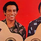 Imagem do artista Tião Carreiro e Pardinho