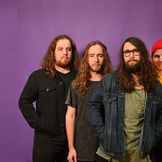 Imagen del artista Psychedelic Porn Crumpets