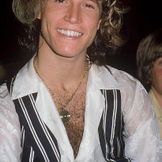 Imagen del artista Andy Gibb