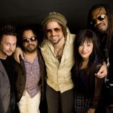 Artist's image Rusted Root