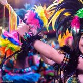 Imagem do artista Bumba Meu Boi de Axixá