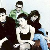 Imagem do artista The Cranberries