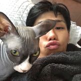 Imagem do artista Sik-K
