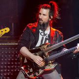 Artist's image Bumblefoot