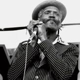 Imagen del artista Big Walter Horton