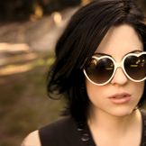 Artist image The Distillers