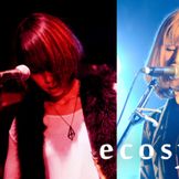 Imagem do artista Ecosystem