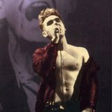 Imagem do artista Morrissey