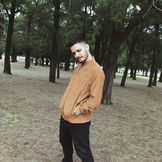 Imagen del artista Igor Stols