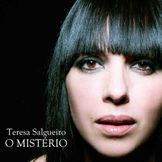 Imagen del artista Teresa Salgueiro