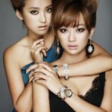 Imagem do artista SISTAR