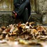 Imagen del artista Jules Shear