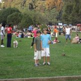 Imagem do artista Los Primos