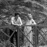 Imagem do artista Still Corners
