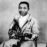 Imagen del artista Muddy Waters