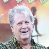 Imagen del artista Brian Wilson