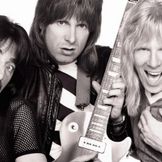 Artist's image Spinal Tap