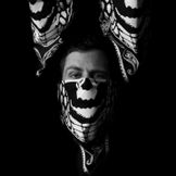 Artist's image Cobra Skulls