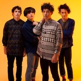 Artist image Last Dinosaurs