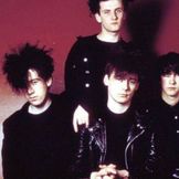 Imagem do artista The Jesus And Mary Chain