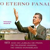 Imagen del artista Feliciano Amaral
